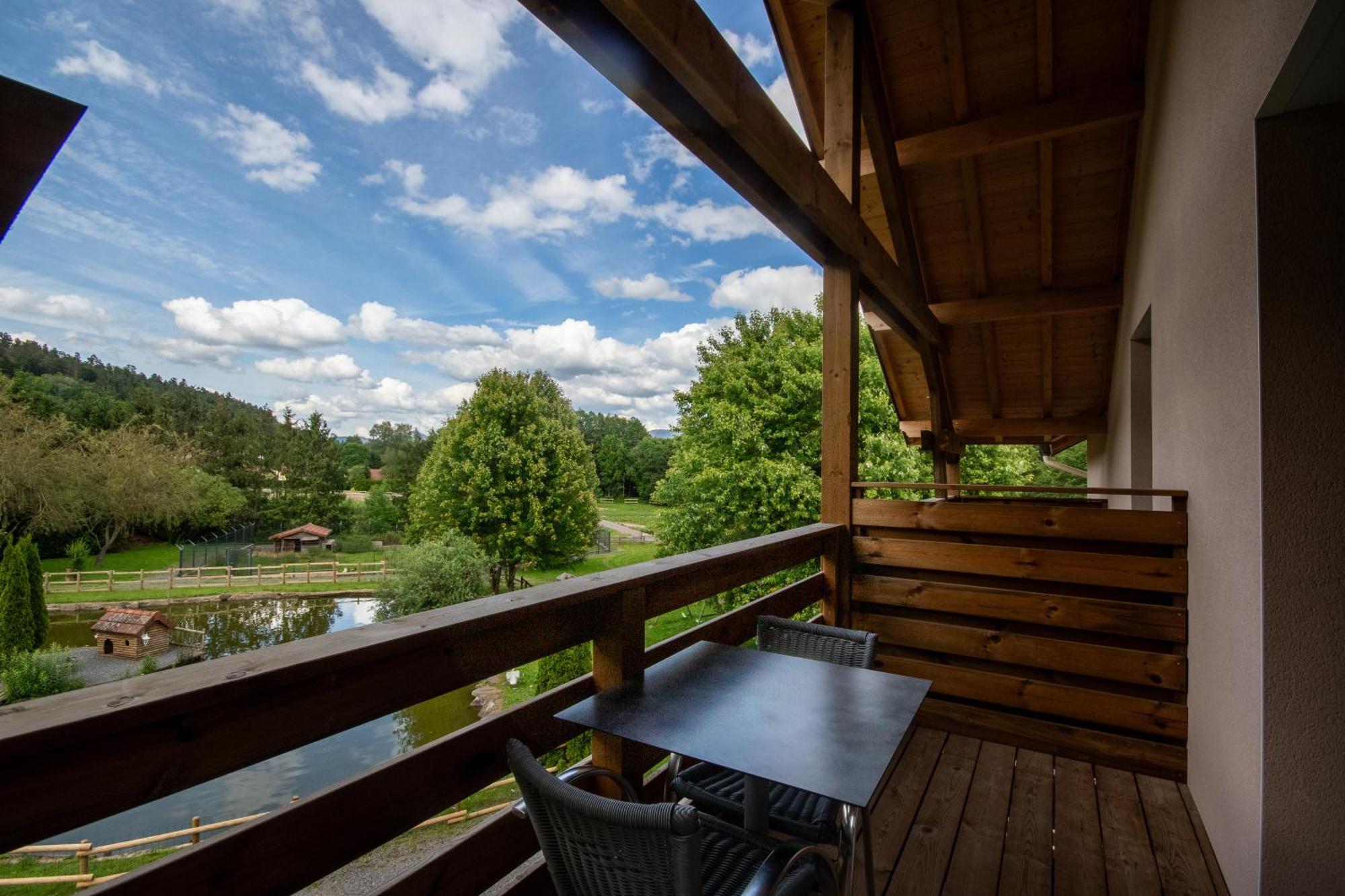 Saint-Die-des-Vosges Logis Hotel Le Regal & Spa מראה חיצוני תמונה