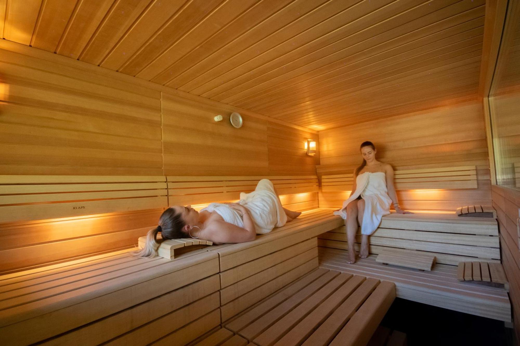 Saint-Die-des-Vosges Logis Hotel Le Regal & Spa מראה חיצוני תמונה