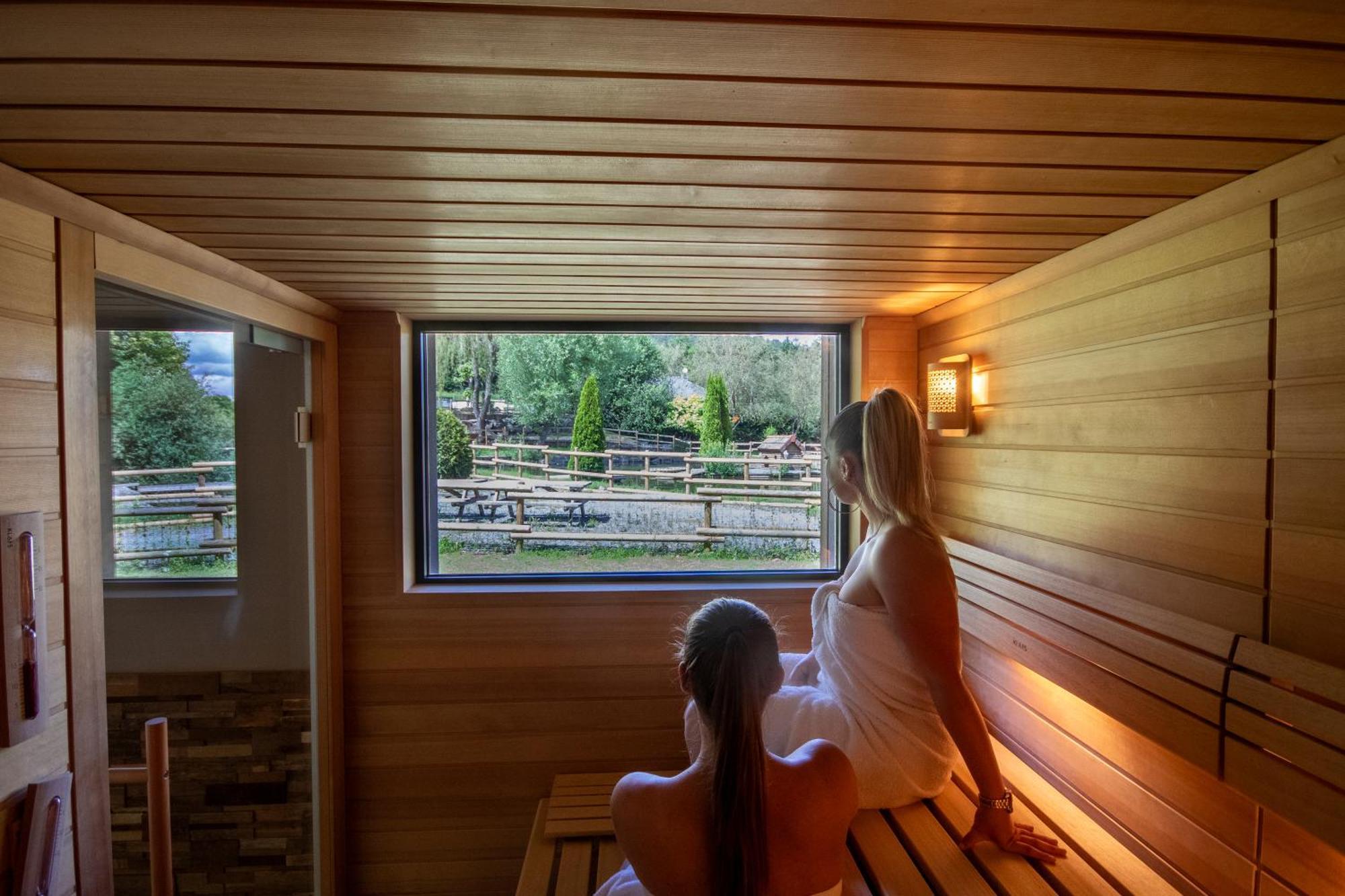 Saint-Die-des-Vosges Logis Hotel Le Regal & Spa מראה חיצוני תמונה