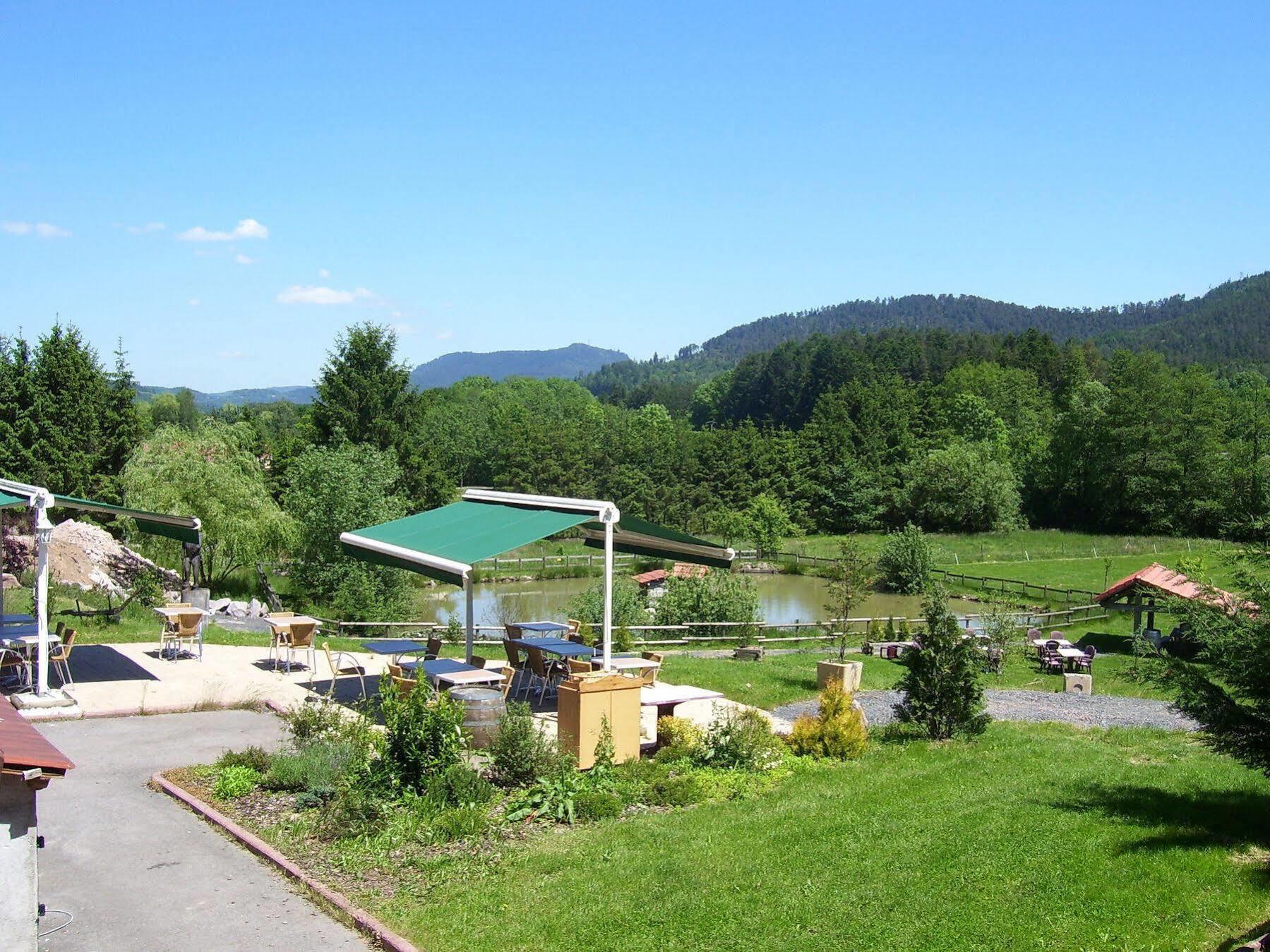 Saint-Die-des-Vosges Logis Hotel Le Regal & Spa מראה חיצוני תמונה